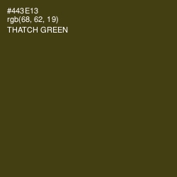 #443E13 - Thatch Green Color Image